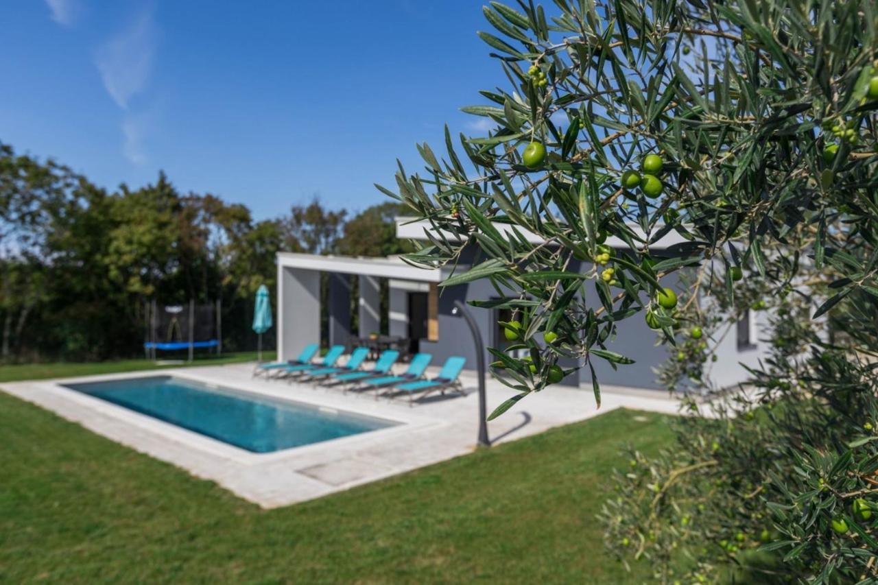 Villa Mariva Žminj 外观 照片